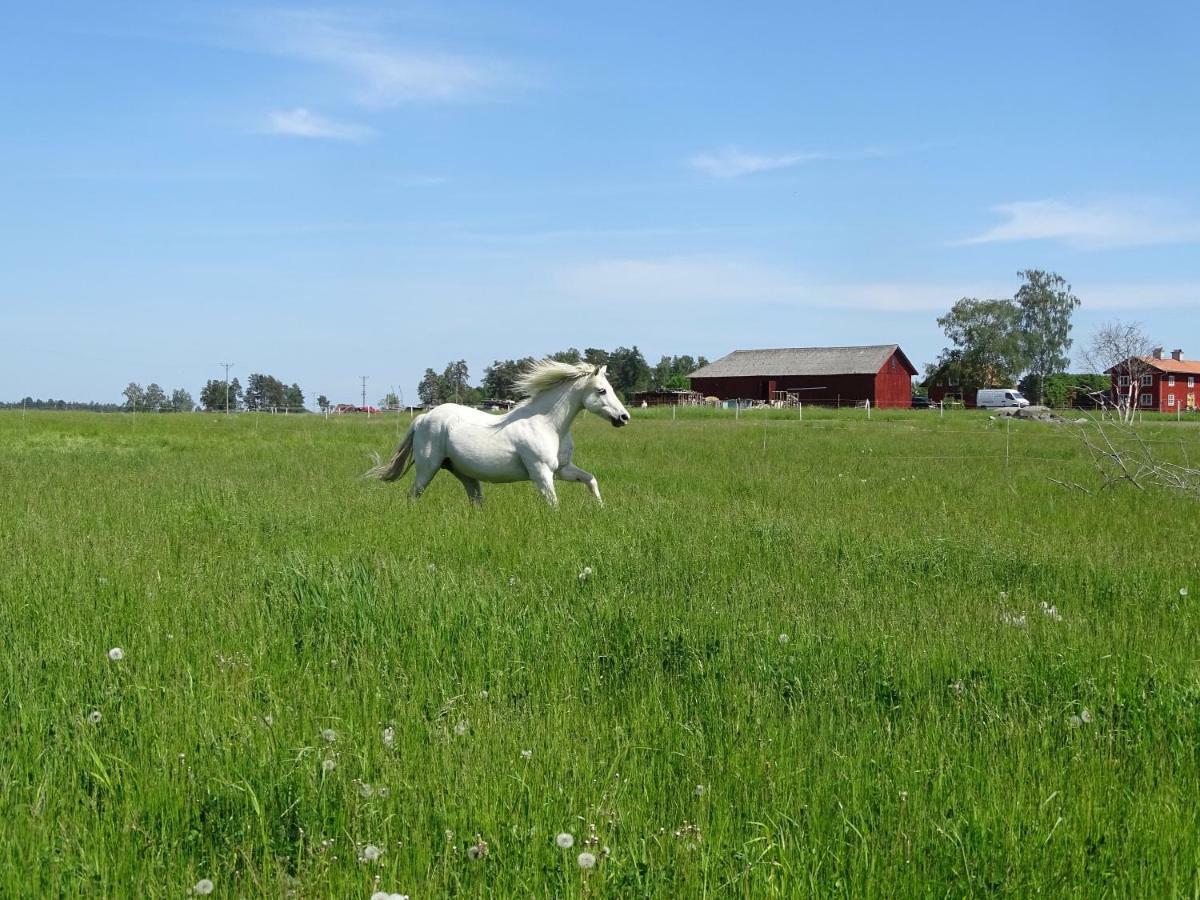 Semesterbostad Broby